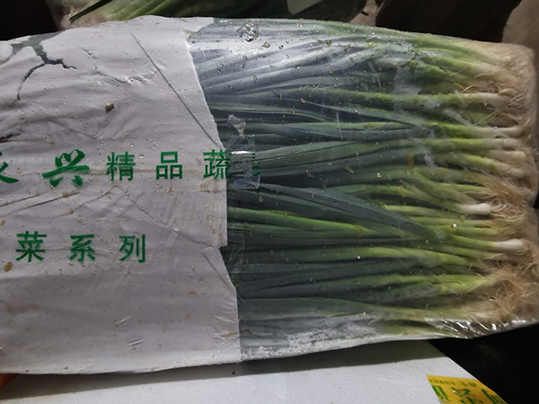 宁夏小葱
