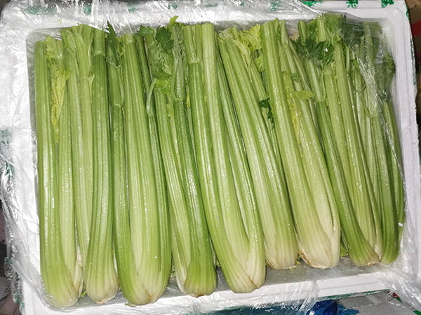 宁夏芹菜