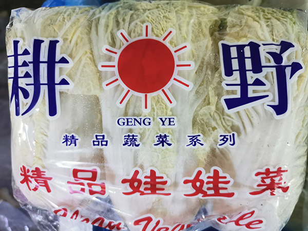 宁夏娃娃菜